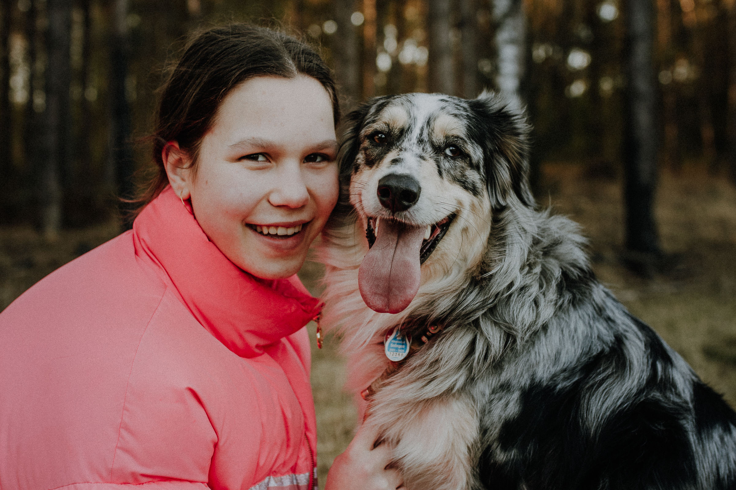 Hundeshootings Solingen