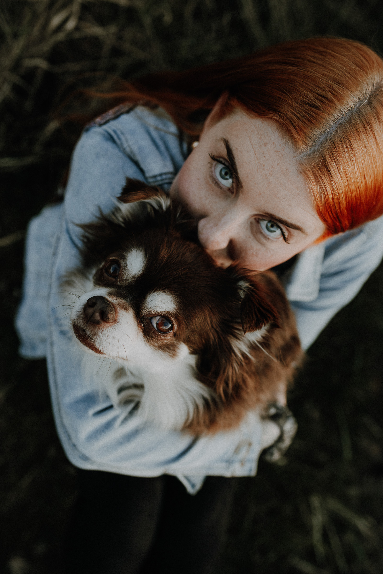 Hundeshootings Solingen