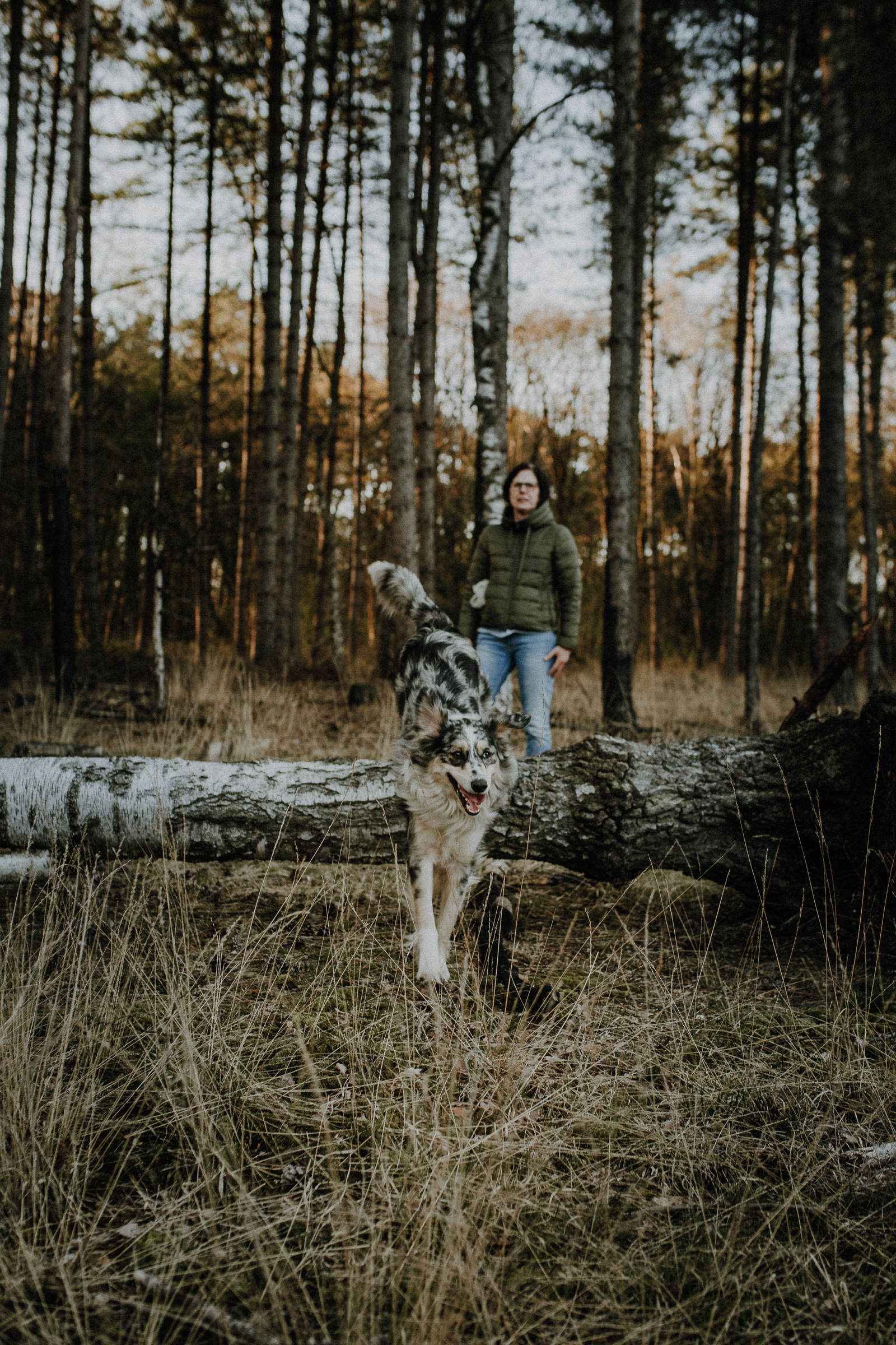 Hundeshootings Solingen