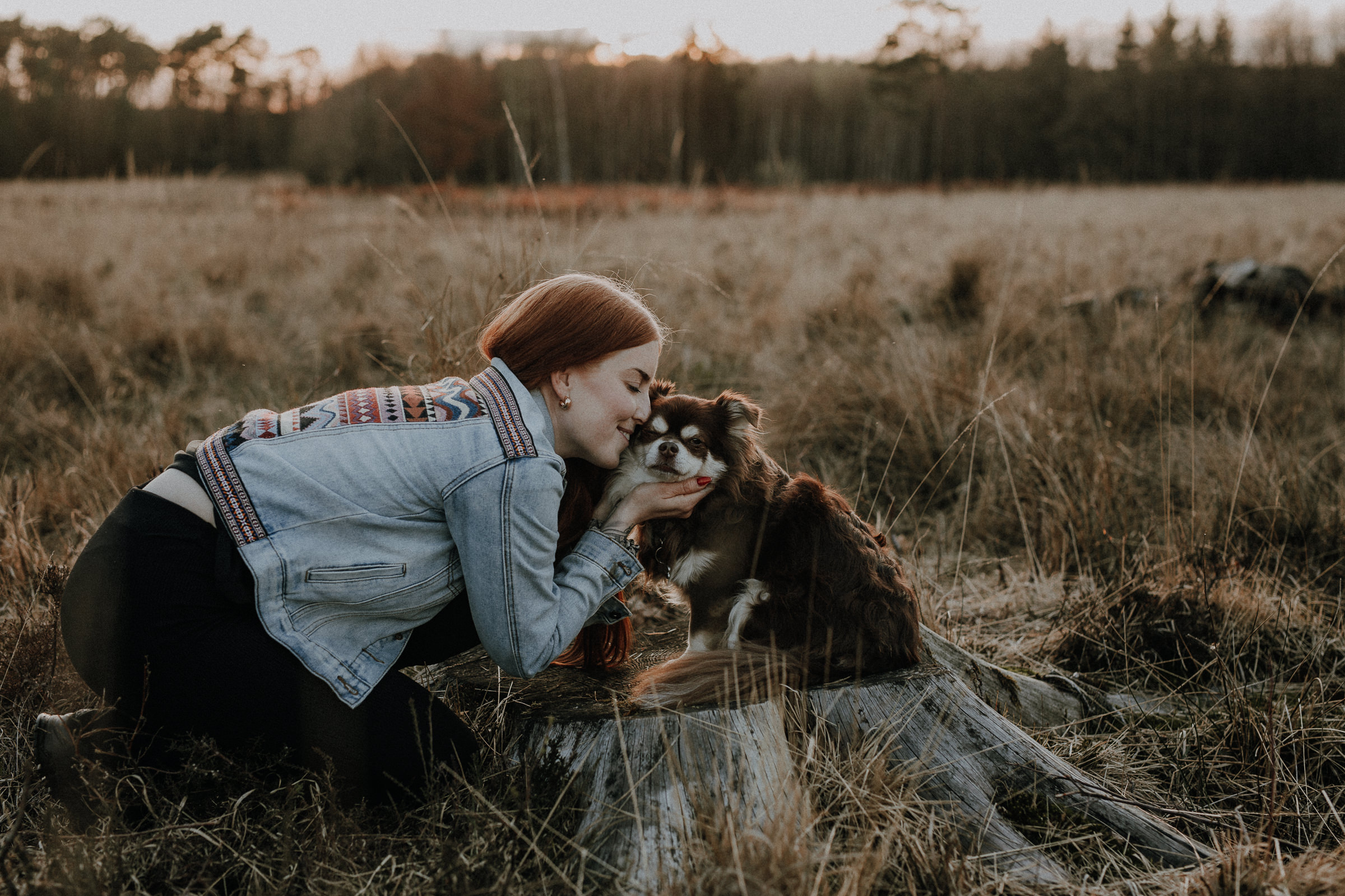 Hundeshootings Solingen