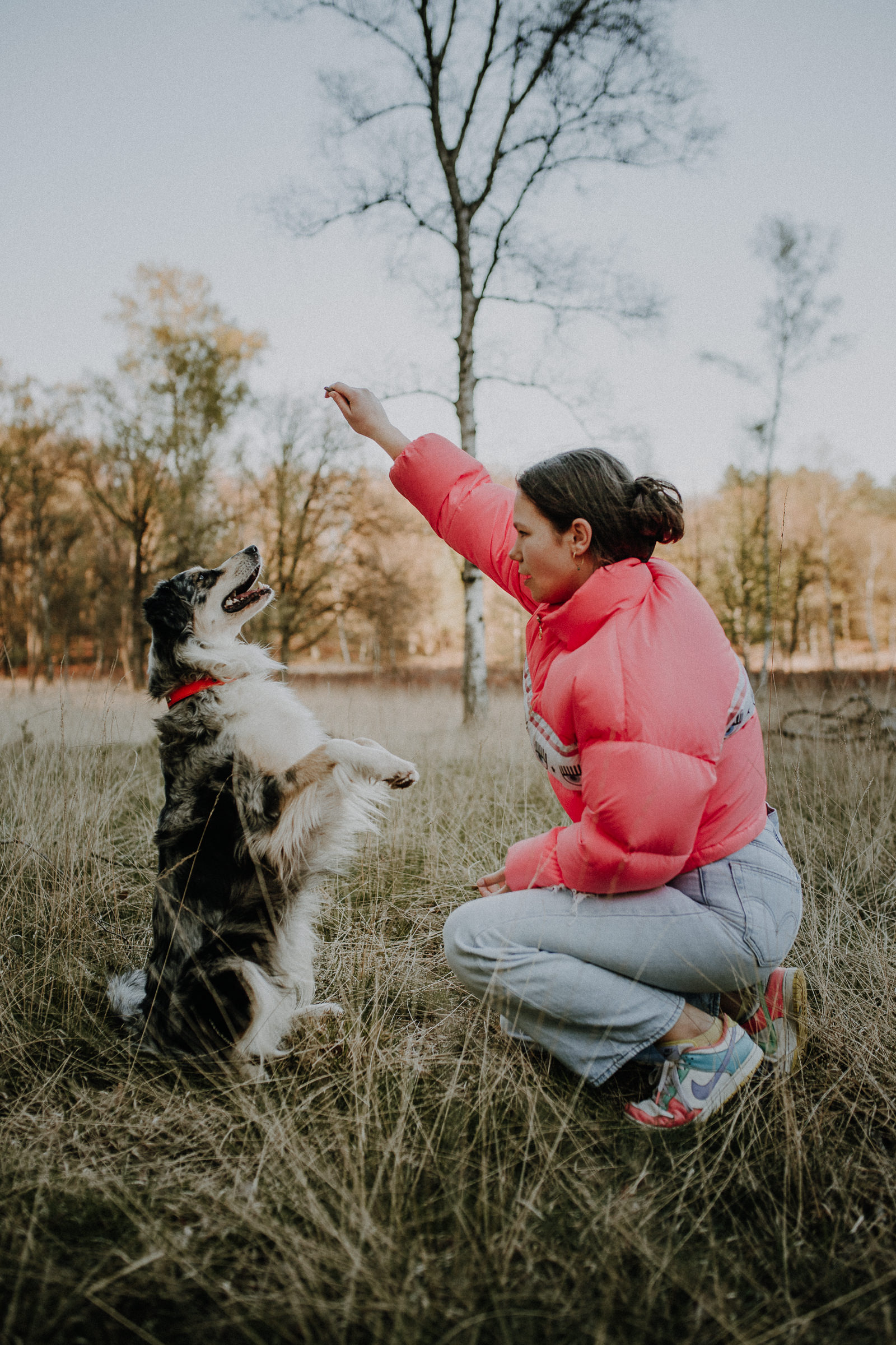 Hundeshootings Solingen