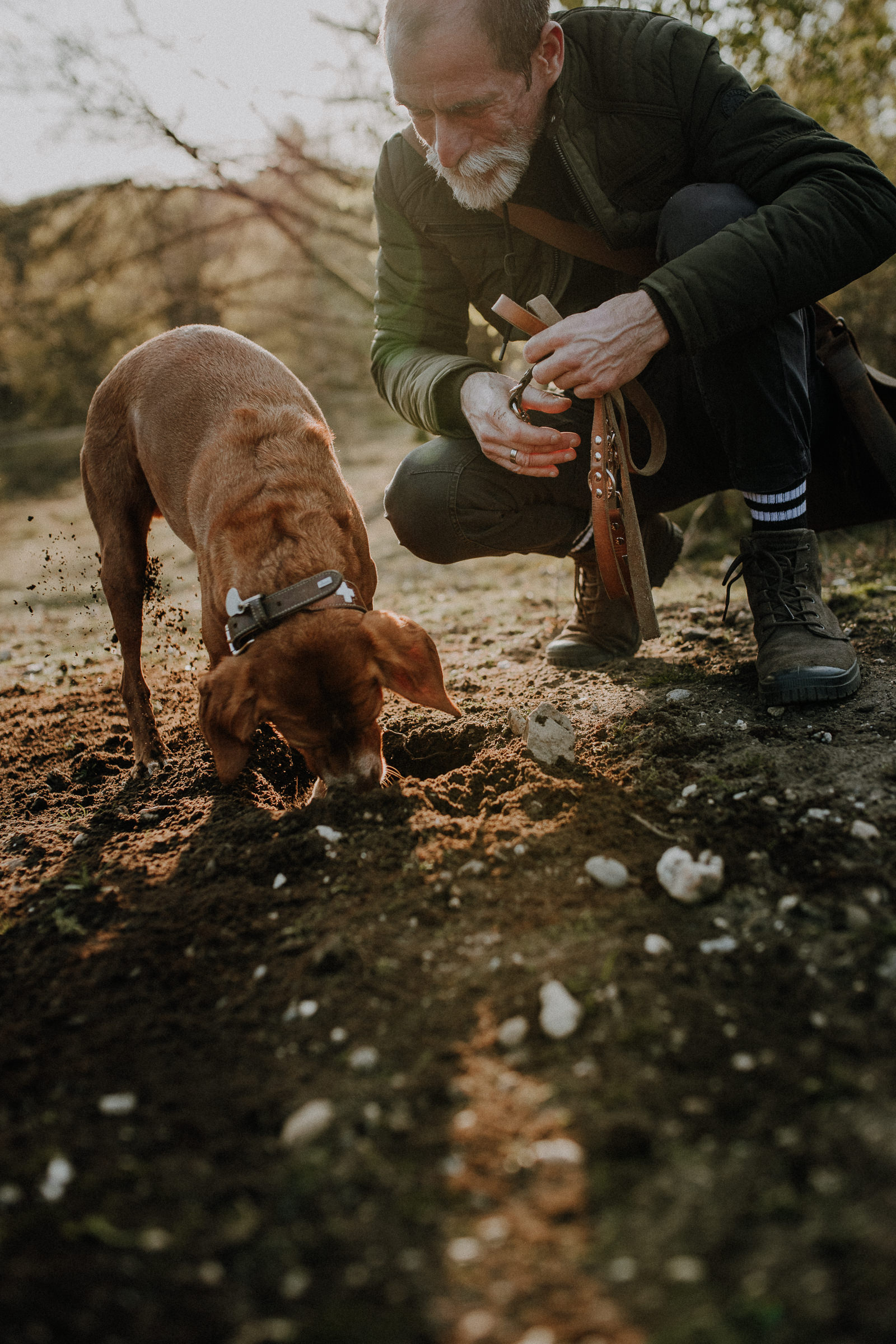 Hundeshootings Solingen