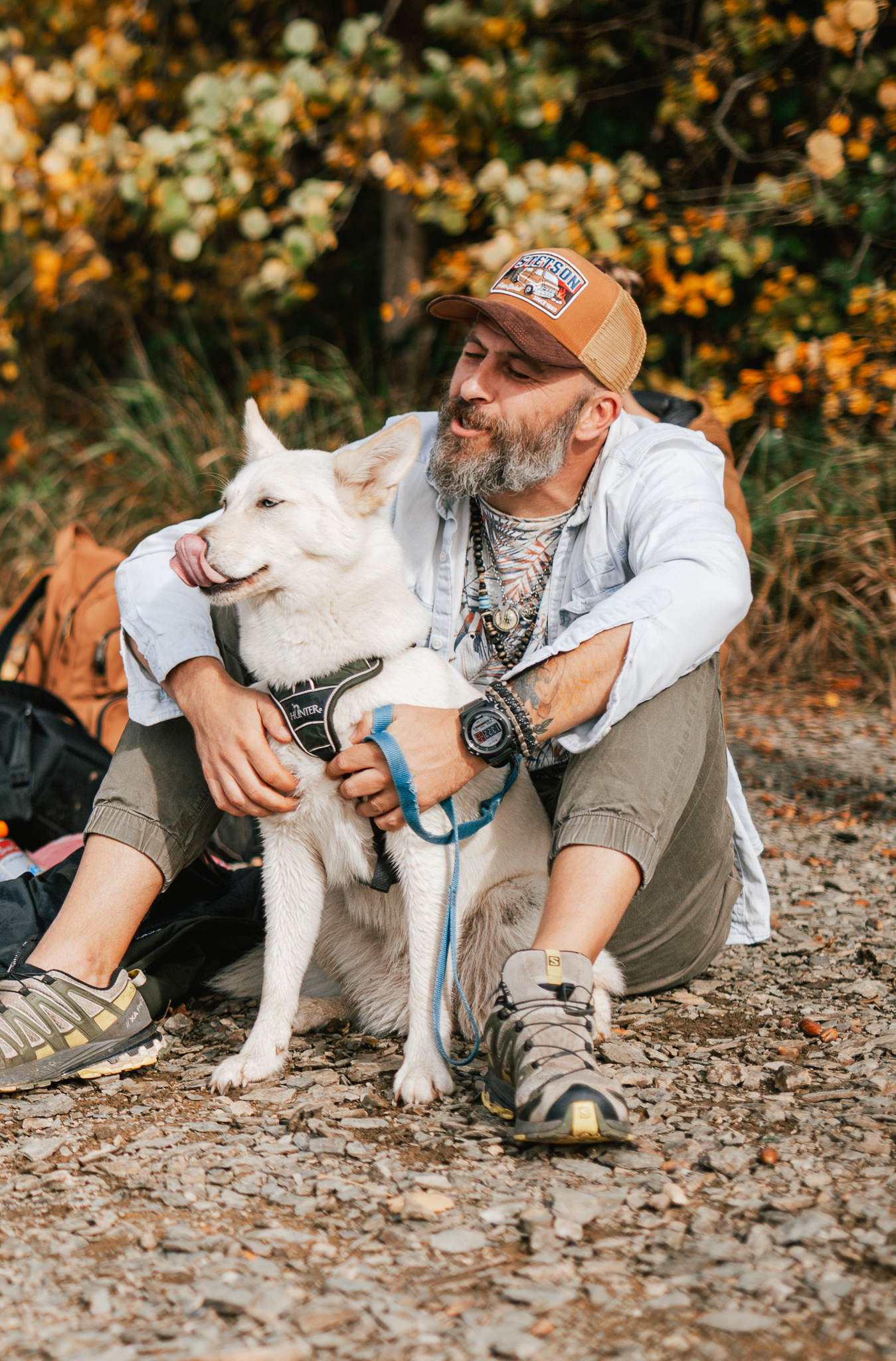 Hundeshootings Solingen